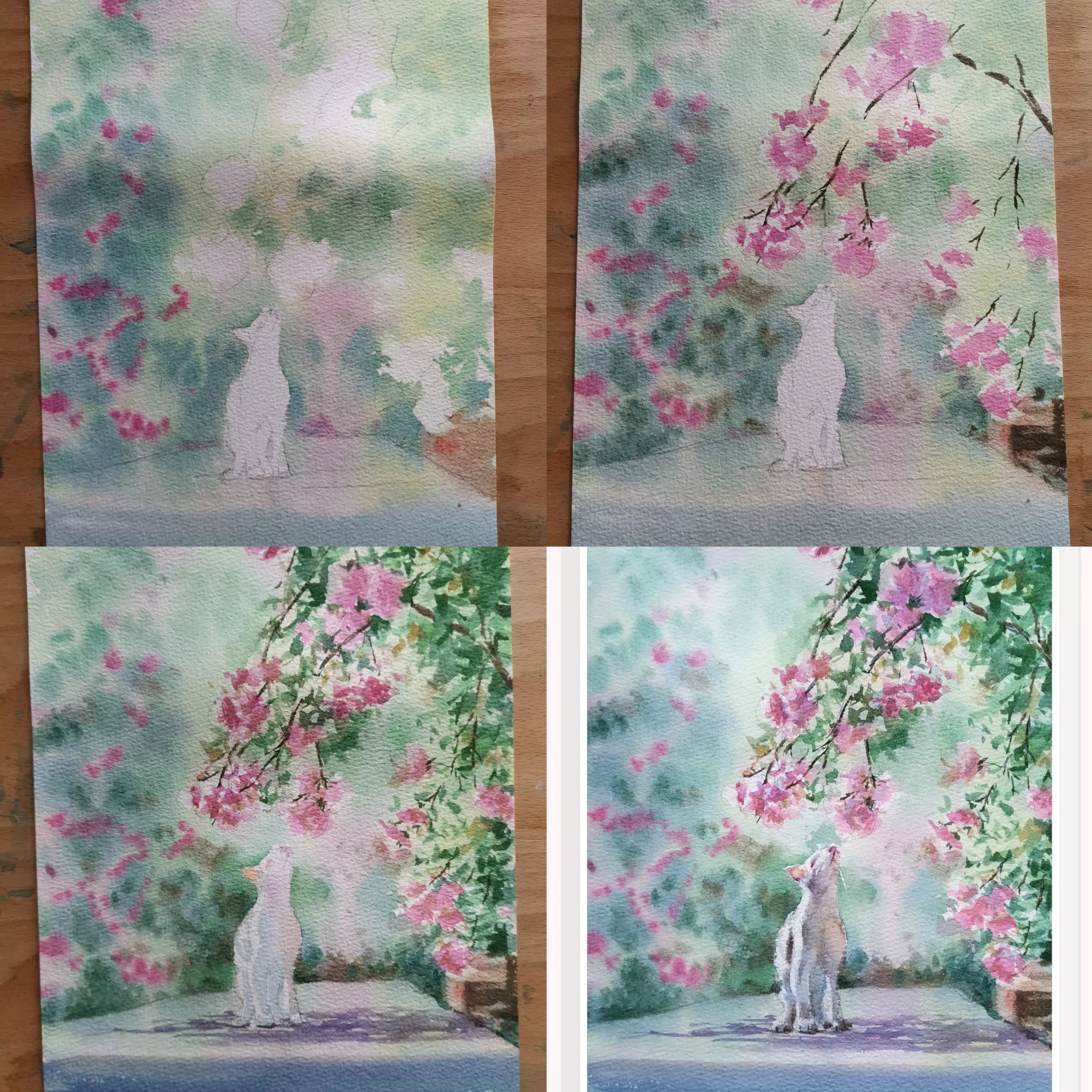 Watercolor painting process of a white cat resting under clusters of flowers, showing background wash and shadow techniques