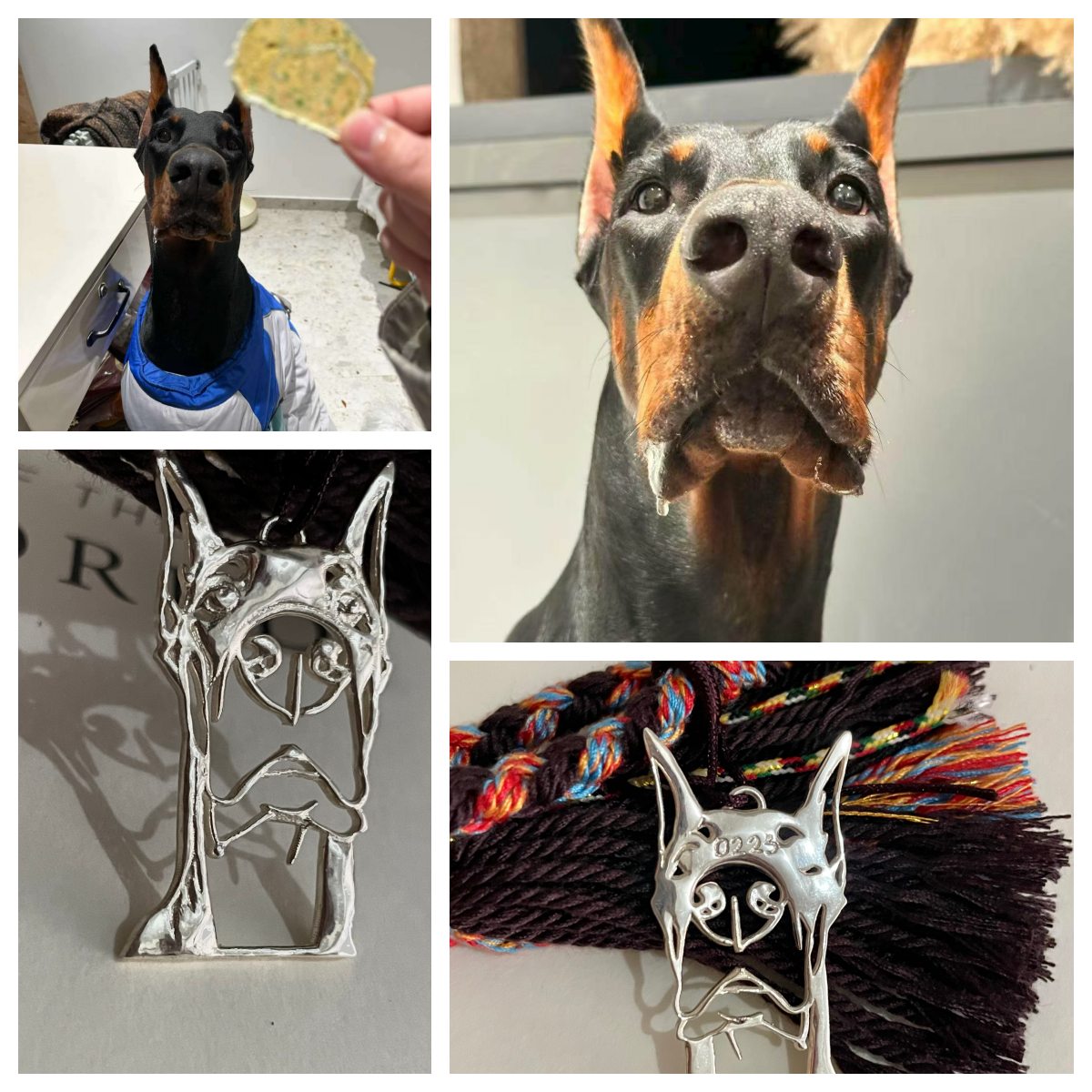 Custom sterling silver pendant featuring Henry the Doberman, personalized pet jewelry by POMTIQUE